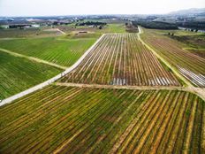 Rustico o Casale in vendita a Palmela Distrito de Setúbal Palmela