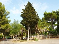 Terreno - Bonaire - Mal Pas, Alcúdia, Isole Baleari