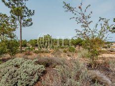 Terreno in vendita a Grândola Distrito de Setúbal Grândola