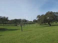 Terreno in vendita a Grândola Distrito de Setúbal Grândola