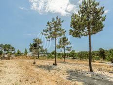 Terreno in vendita a Grândola Distrito de Setúbal Grândola