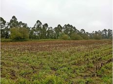 Terreno in vendita a Trofa Oporto Trofa