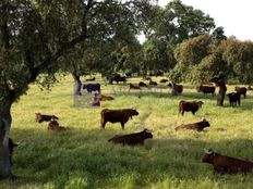 Prestigioso casale in vendita Aliseda, Extremadura