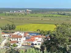 Terreno in vendita a Coruche Distrito de Santarém Coruche