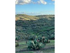 Casa di lusso in vendita a Mértola Distrito de Beja Mértola