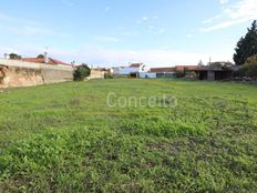 Terreno in vendita a Golegã Distrito de Santarém Golegã