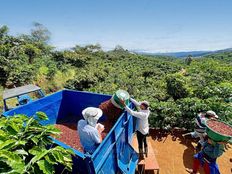 Rustico o Casale in vendita a Naranjo Provincia de Alajuela Naranjo