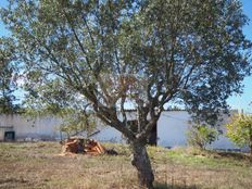 Casa di lusso in vendita a Grândola Distrito de Setúbal Grândola