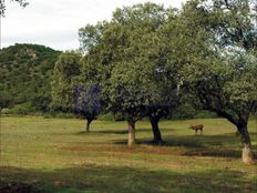 Casa di lusso in vendita a Navalmoral de la Mata Extremadura Provincia de Cáceres