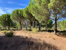 Terreno in vendita a Grândola Distrito de Setúbal Grândola