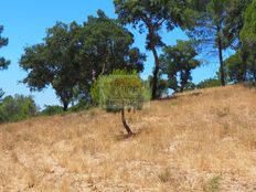 Terreno in vendita a Grândola Distrito de Setúbal Grândola