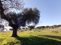 Prestigioso casale in vendita Trujillo, Spagna