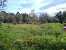 Terreno in vendita - Leiria, Portogallo