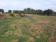 Podere di 50000 mq in vendita - Faro, Distrito de Faro