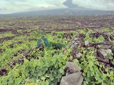 Terreno in vendita a Madalena Azores Madalena