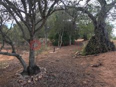 Terreno di 8215 mq - Boliqueime, Loulé, Distrito de Faro