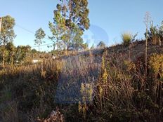 Terreno - Facho, Oliveira do Bairro, Distrito de Aveiro