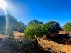 Terreno - Almancil, Loulé, Distrito de Faro