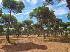 Podere in vendita - Melides, Grândola, Distrito de Setúbal