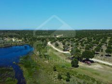 Terreno in vendita a Benavente Distrito de Santarém Benavente