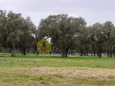 Fattoria in vendita a Montijo Distrito de Setúbal Montijo