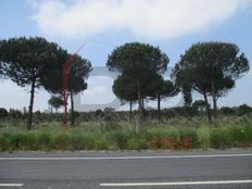 Terreno - Montijo, Portogallo