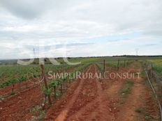 Fattoria in vendita a Estremoz Distrito de Évora Estremoz