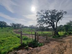 Terreno - Arredores, Santiago do Cacém, Distrito de Setúbal