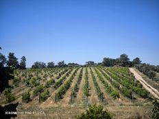 Podere in vendita - Fundão, Portogallo