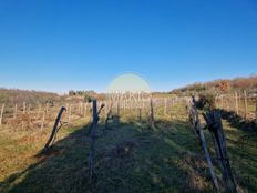 Terreno in vendita a Umago Istria Grad Umag