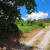 Terreno in vendita a Langenzersdorf Bassa Austria Politischer Bezirk Korneuburg