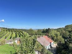 Casa di lusso in vendita a Krems an der Donau Bassa Austria Krems an der Donau