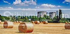 Terreno in vendita a Seyring Bassa Austria Politischer Bezirk Korneuburg