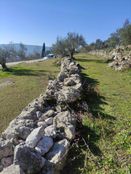 Terreno in vendita a Castelnuovo di Cattaro Herceg Novi 