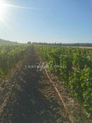 Terreno in vendita a Lézignan-Corbières Occitanie Aude