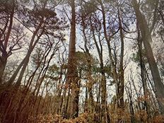 Terreno in vendita a Châtellerault Nouvelle-Aquitaine Vienne