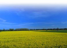 Terreno di 670 mq in vendita - Laguna Larga, Provincia de Córdoba