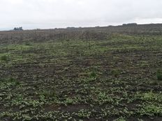 Terreno di 1200000 mq in vendita - Ruta 3 km. 320, Azul, Partido de Azul, Provincia de Buenos Aires