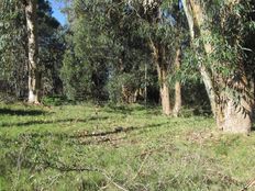 Terreno in vendita a La Barra Maldonado San Carlos