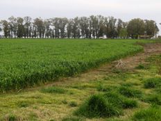 Terreno di 7700000 mq in vendita - Las Flores, a 10 km de R3 y 220km de Capital Federal, Las Flores, Partido de Las Flores, Provincia de Buenos Aires