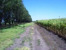 Terreno di 2160000 mq in vendita - Rauch, a 20km de R30 y 220 de Capital, Azul, Provincia de Buenos Aires