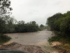 Terreno di 15760000 mq - Inversionistas, campo ganadero y forestal, 20 km de Rivera y Brasil, Rivera, Departamento de Rivera