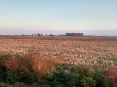 Terreno in vendita - al 100, Cañuelas, Provincia de Buenos Aires