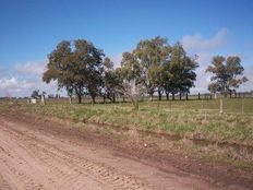 Terreno di 800000 mq - a 900 mts R.205 -, Cañuelas, Provincia de Buenos Aires