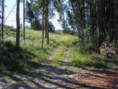 Terreno di 7000 mq - Guimarães, Distrito de Braga