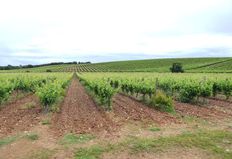 Terreno in vendita a Estremoz Distrito de Évora Estremoz