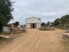 Esclusivo casale di 13200 mq in vendita Beja, Portogallo