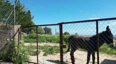 Terreno in vendita a Loulé Distrito de Faro Loulé