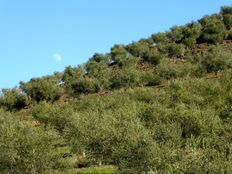 Prestigioso casale in vendita Alfândega da Fé, Bragança