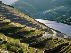 Terreno in vendita a Vila Nova de Gaia Oporto Vila Nova de Gaia